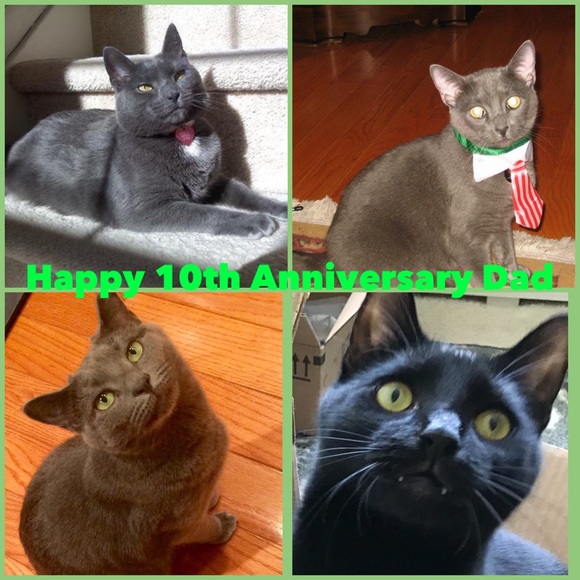 Shop our mom's closet! 😻😻😻 - Picture 15 of 16